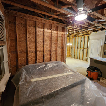 Full Home Renovation