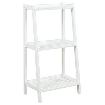 Dunnsville 3-Tier Ladder Shelf, White