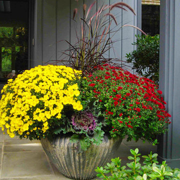 Container Gardens