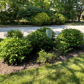 Native Plant Transformation of a HOA restricted landscape
