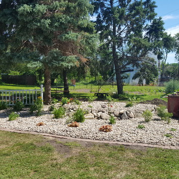 Backyard Renovation