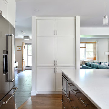 Fanshaw - Whole Home Renovation and Two-Story Addition