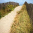 "Pathway to the Ocean" Garden Wall Hanging, 122x200 cm