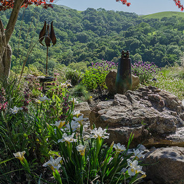 Nature Close to Home