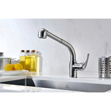 ANZZI Harbour 1-Handle Pull-Out Sprayer Kitchen Faucet