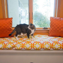 Pet-friendly design
