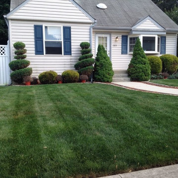 Lawn Replacement Examples