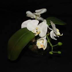 Aprils Flowers - Products