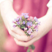 Foto von eman khaled