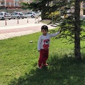 Selçuk Çevikkul's photo