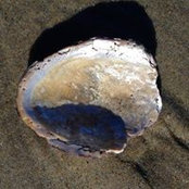 Maureen Jones's photo