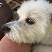 Dana Stutts's photo