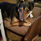 Cassy Menon's photo