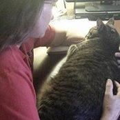 Cindy Capellen's photo