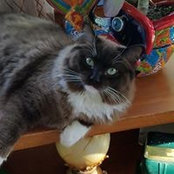 Cindy Druien's photo