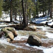 Virginia Si's photo