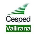 Foto de perfil de CESPED ARTIFICIAL  VALLIRANA
