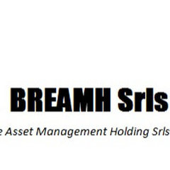 Build Real Estate Asset Management Holding Srls