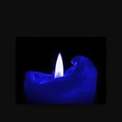 LeeAnn Stocklin's photo