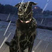 Roxann Naud's photo