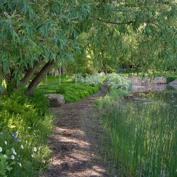 Willoughby Woodland