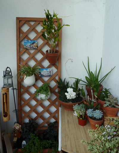 Сад Small Gardens