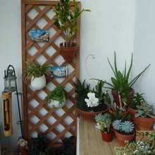 rooftop garden ideas