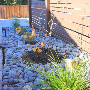 Low Maintenance Traditional