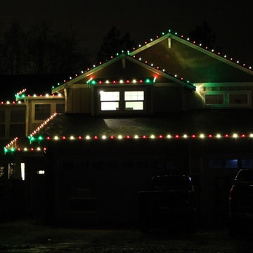 Professional Christmas Light Installation