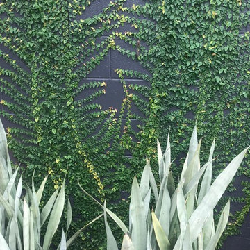 Bardon Garden Two