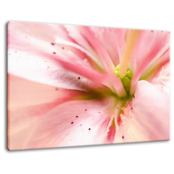 Center of the Stargazer Floral Nature Photo Canvas Wall Art Print, 12" X 16"