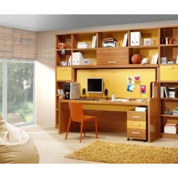 Custom Desk Bed