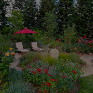 Beautiful pond, pool,pergola and garden