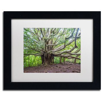 'Banyan' Matted Framed Canvas Art by Pierre Leclerc