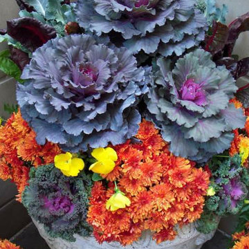 Tu Bloom Designs