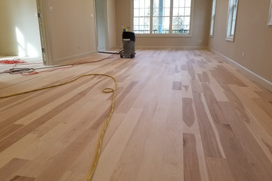 Example of a large minimalist home design design in Chicago