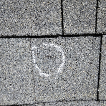 Insurance Claim Management for Roofing