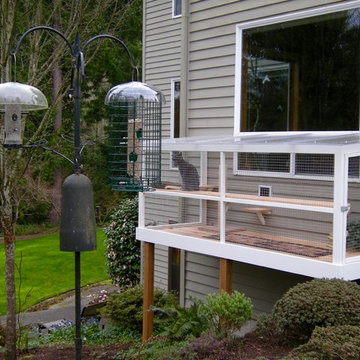 Catio Spaces