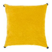 Couch Pillows