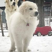 Barb LaMay's photo