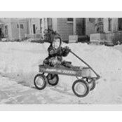 Sharon Davis's photo