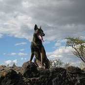 Guillermo Rojas's photo