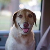 Anna Schaffner's photo