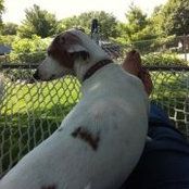 Catherine Damico's photo