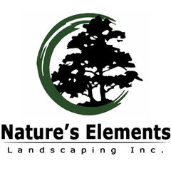 NATURE'S ELEMENTS LANDSCAPING INC