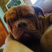 Francisco Lopez's photo