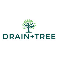 Drain + Tree