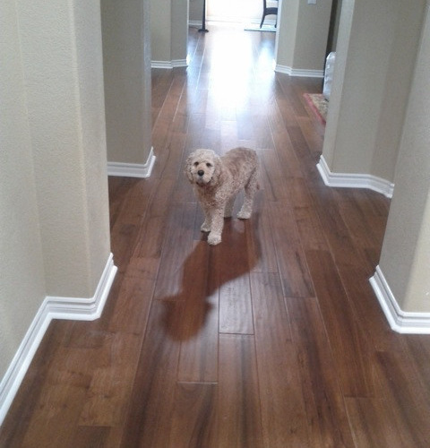 Cleaning Engineered Hardwood Floors high quality best way to clean engineered wood floors throughout best way to clean engineered hardwood Engineered Hardwood Flooring Cleaning Engineered Hardwood Floors hardwood_floor_cleaning Engineered Hardwood Flooring