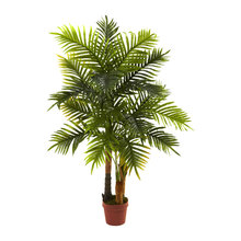 Plants