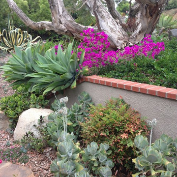 Design Build: Vista Botanical Home
